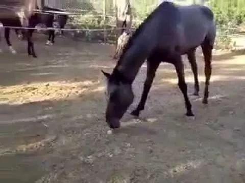 太阳成集团官网