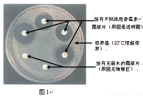 太阳成集团官网