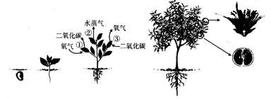 太阳成集团tyc33455cc